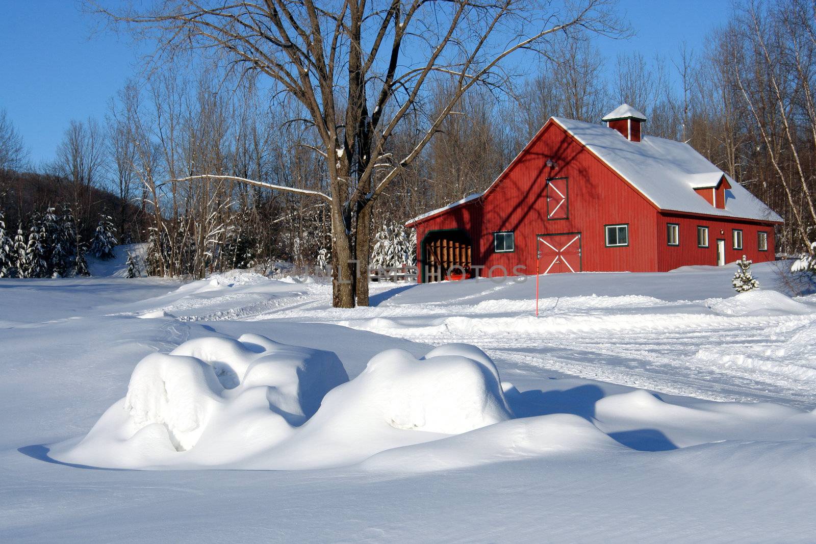 Red barn covered with fresh snow