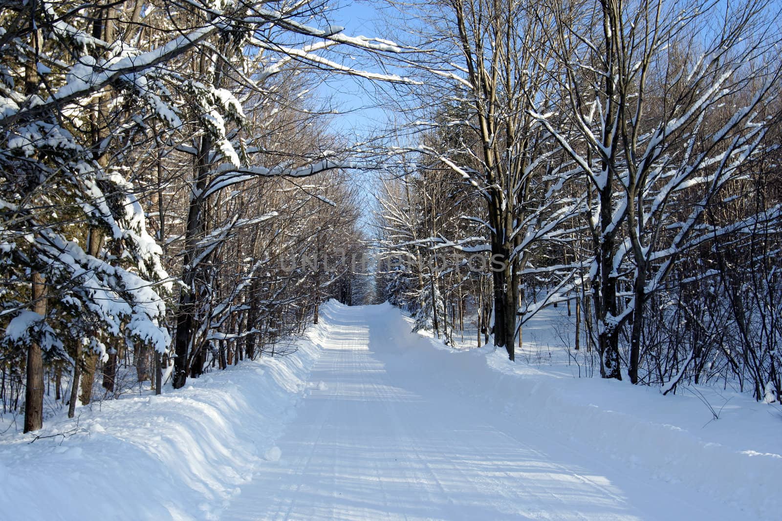 Small road in the woods after a snowfall