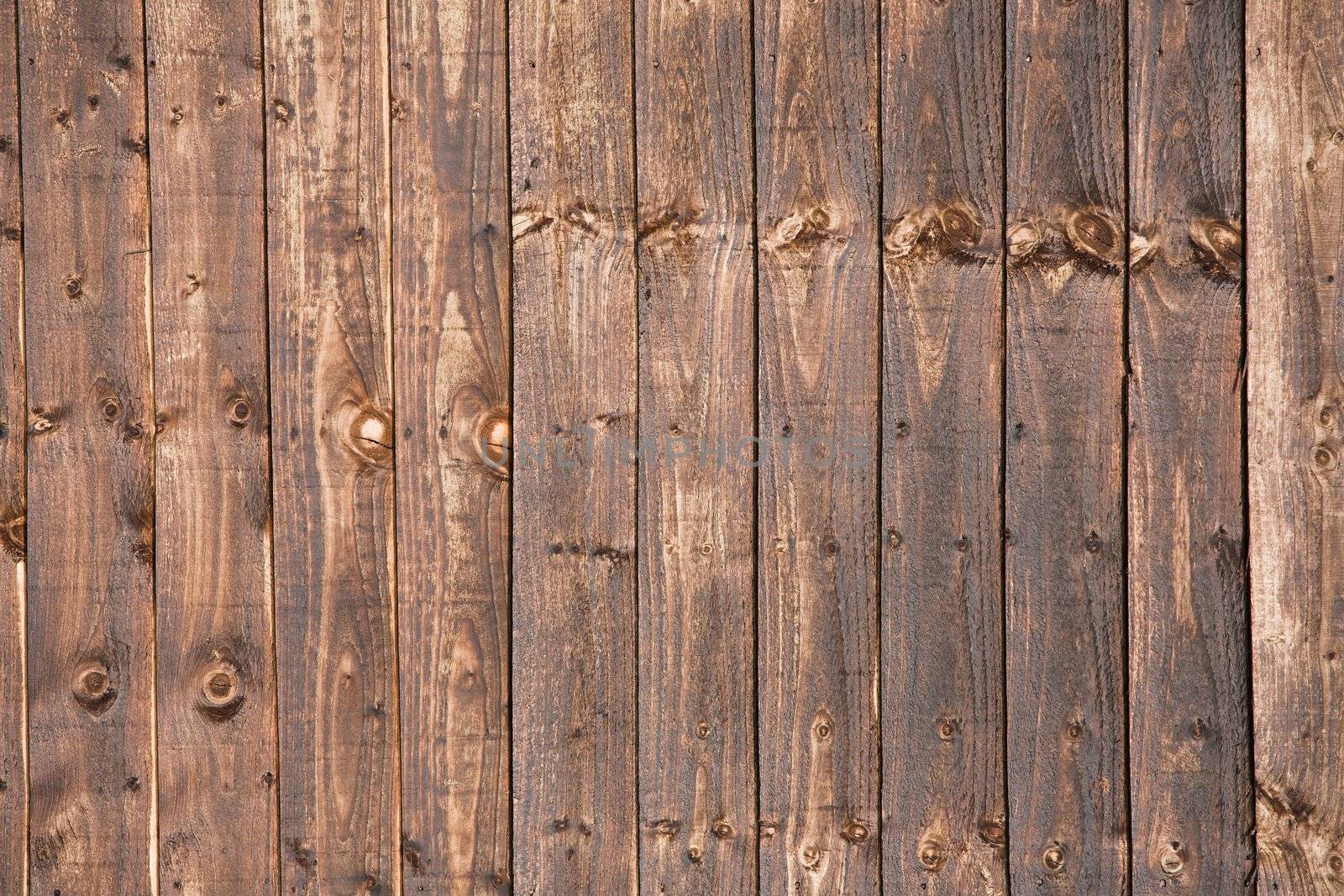 Section of a wooden garden fence treated with creosote preservative
