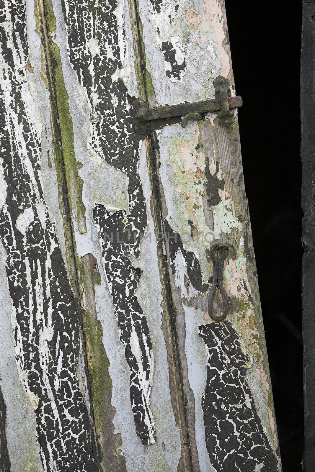 Detail of an old shed door with peeling paint