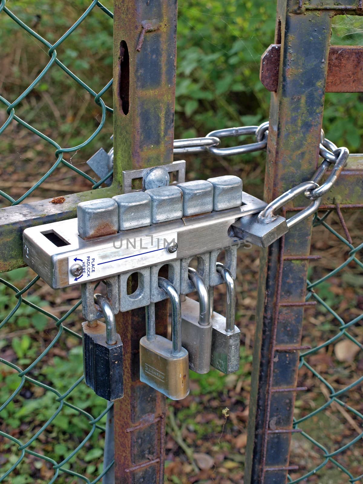 Four padlocks and a chain on rusty gate