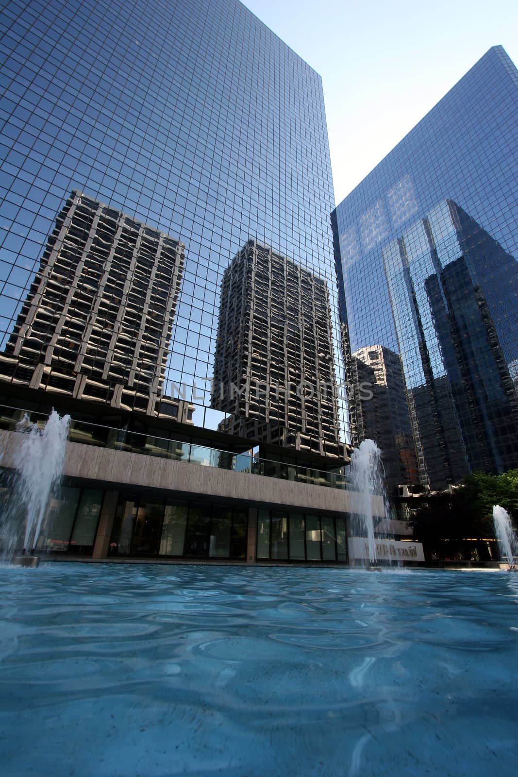 Reflection by the pool by Imagecom