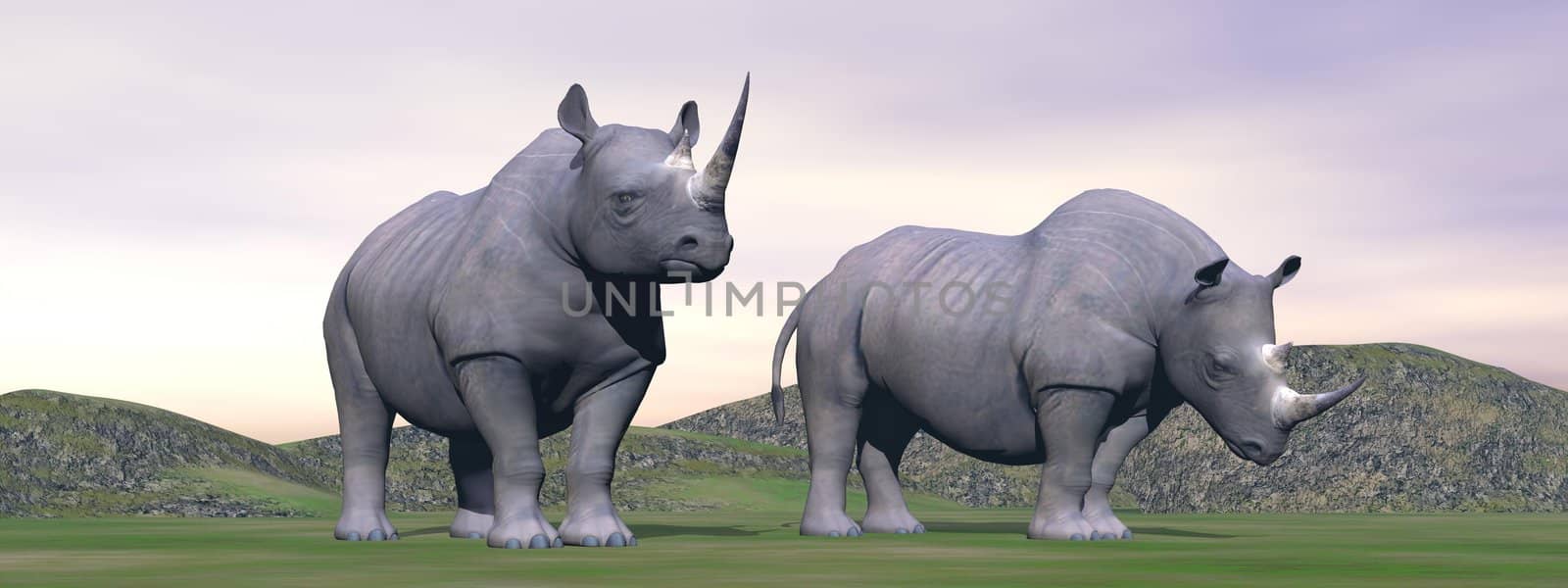 Two rhinoceros standing alone in green landscape