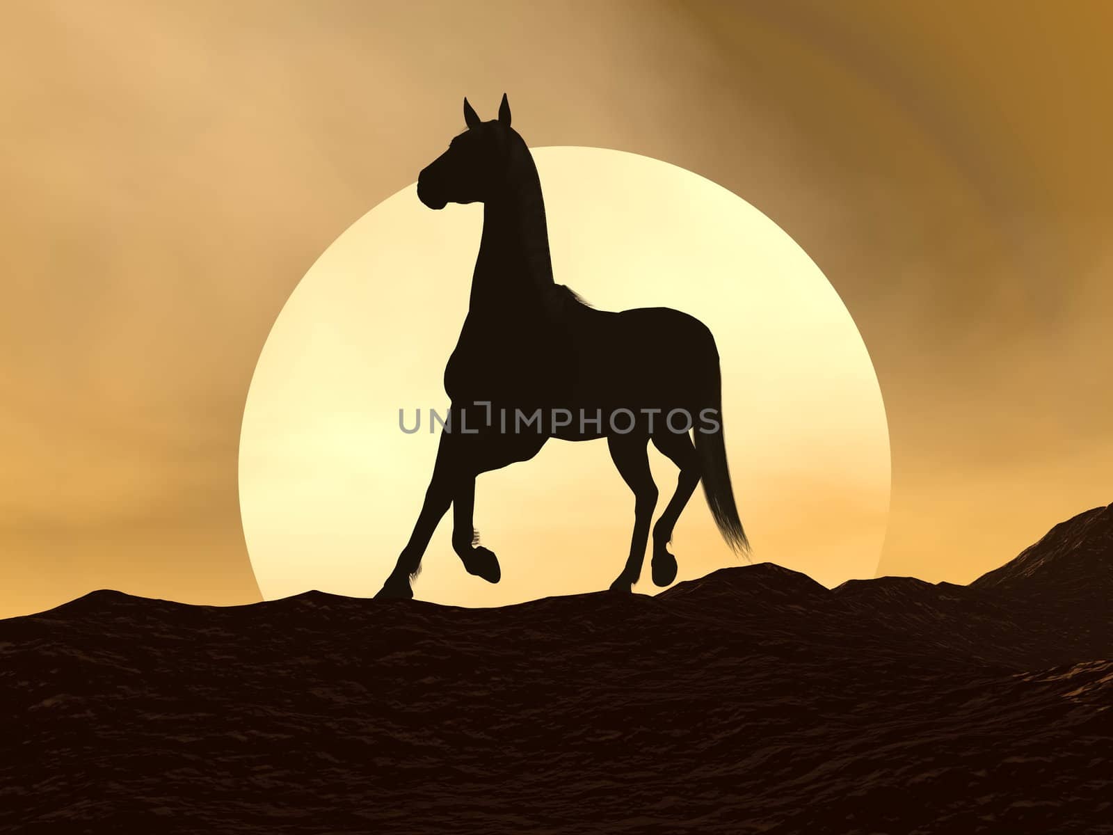 Shadow of a horse galloping on the mountain by sunset