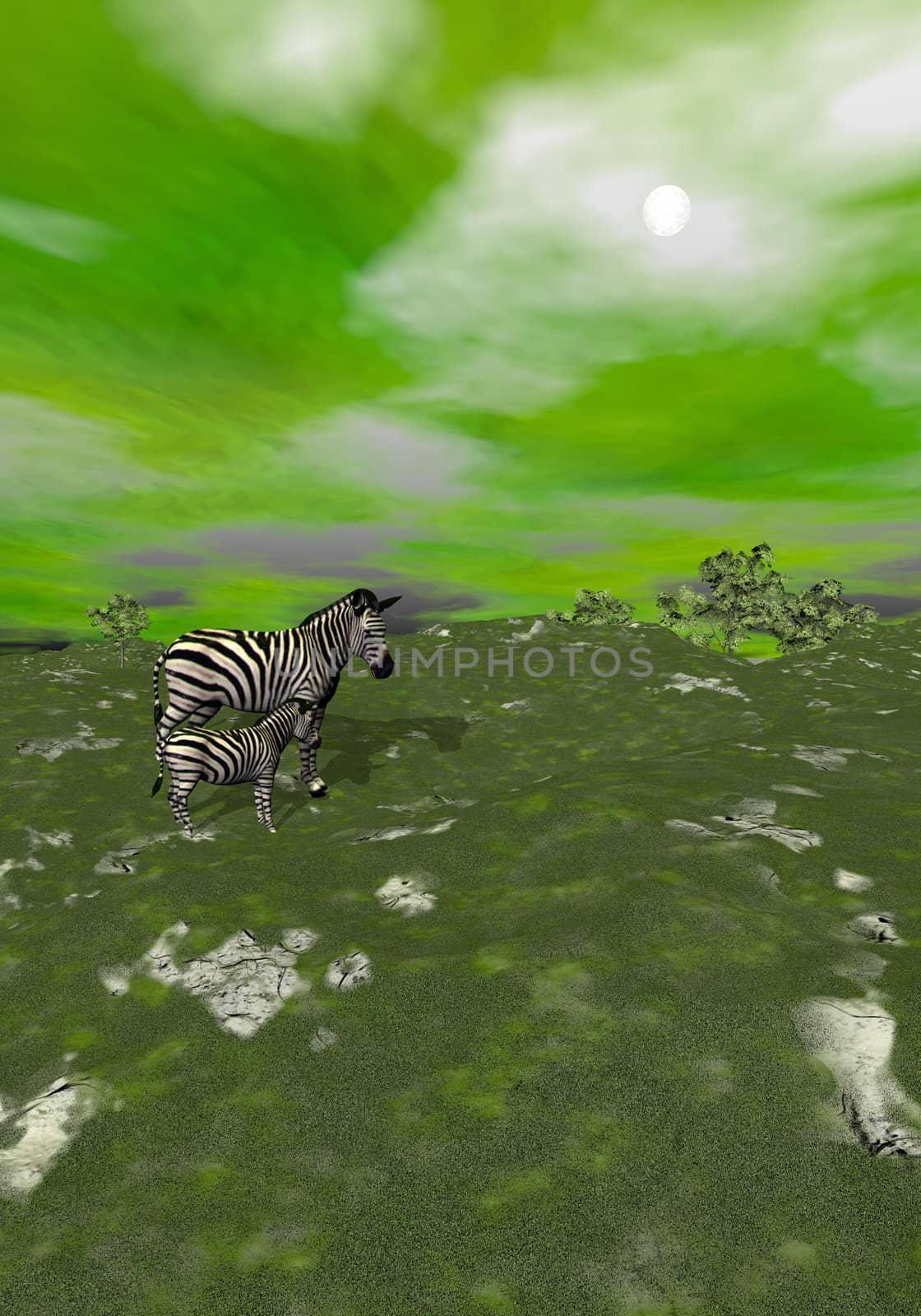 Mother and baby zebras standing in green grassland by cloudy day