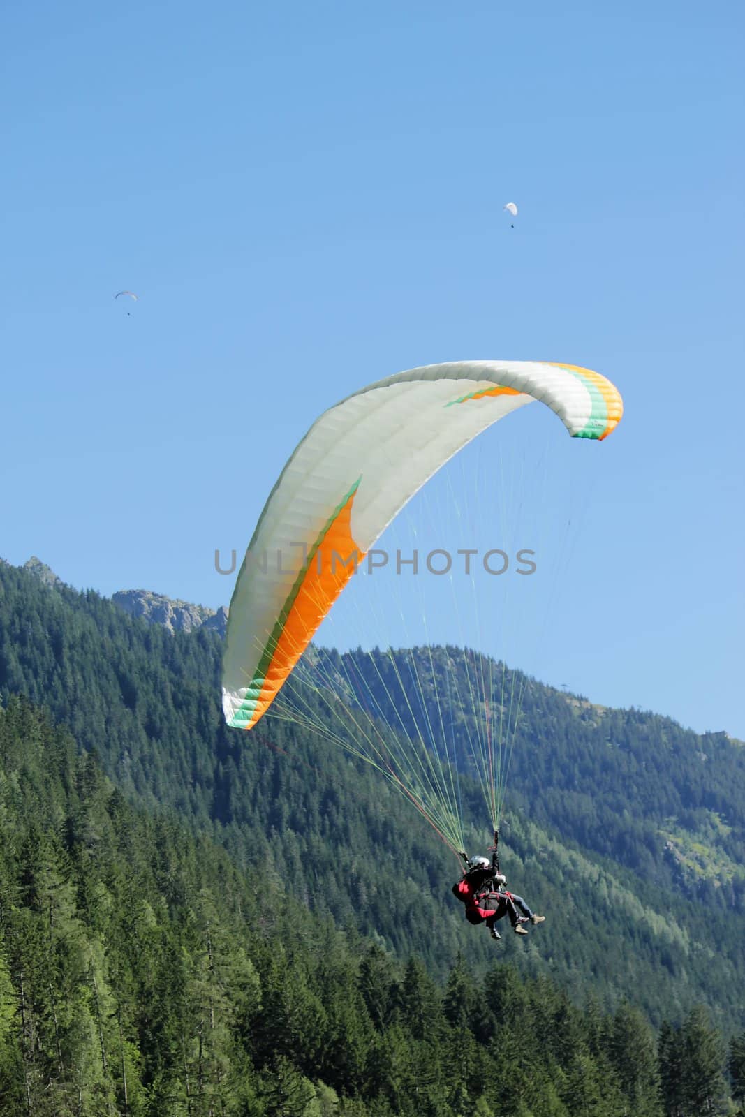 Paragliding tandem upon the Alps mountains and fir trees by beautiful day in Chamonix, France