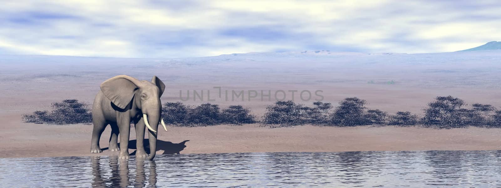 Elephant at the water - 3D render by Elenaphotos21