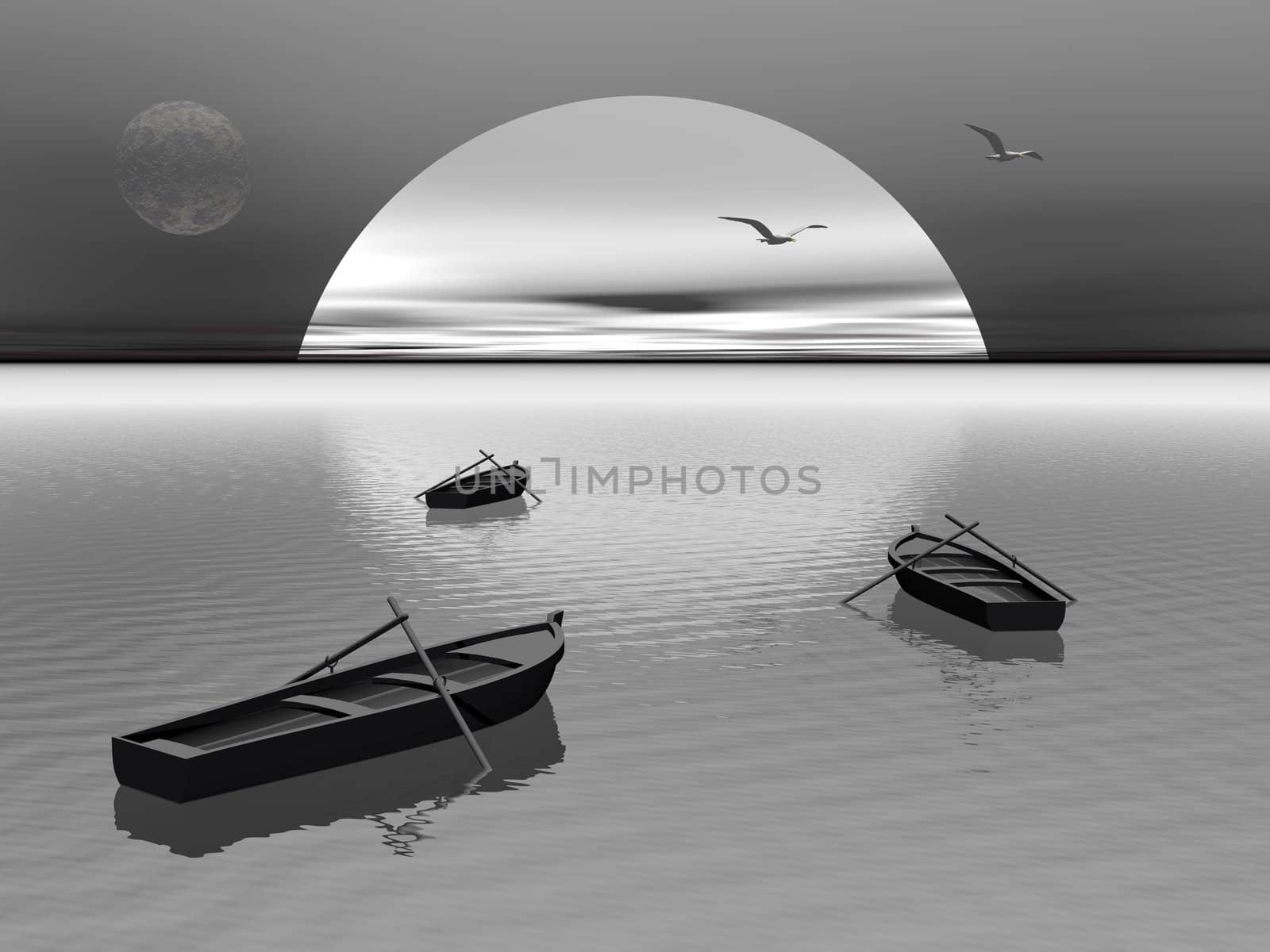 Old wood boats with two paddles staying on the quiet water by night with seagulls flying