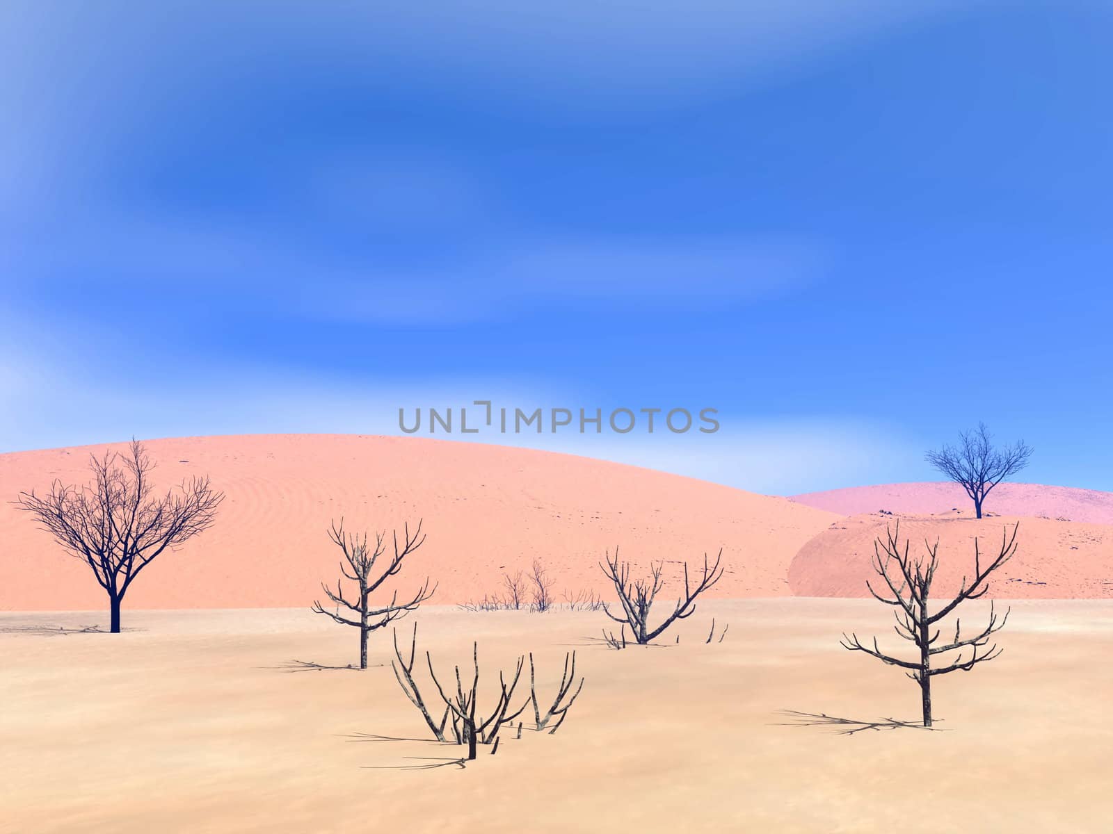 Dead trees in a sand desert by hot day