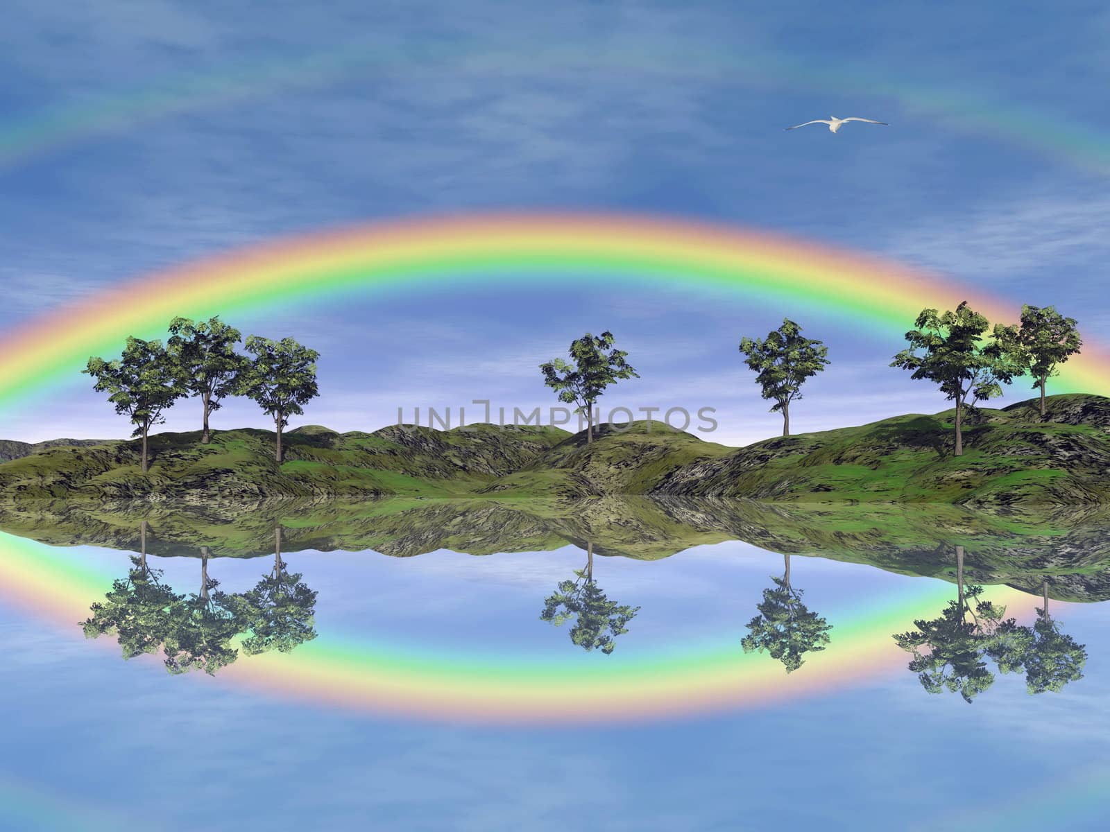 Beautiful rainbow upon trees and grassland with its reflection in the water, flying bird in the sky