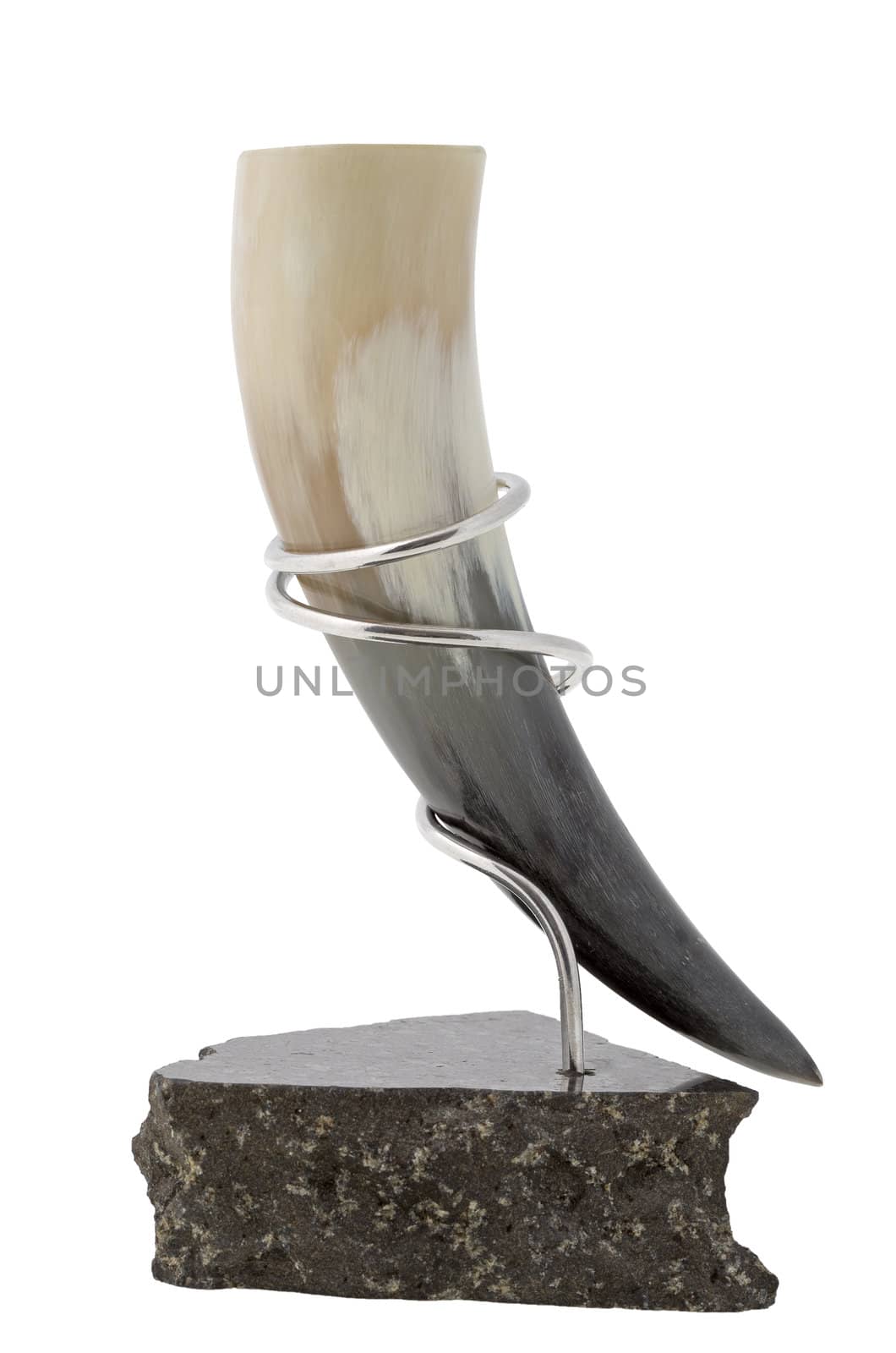 A drinking horn made from a sheep's horn in a silver stand