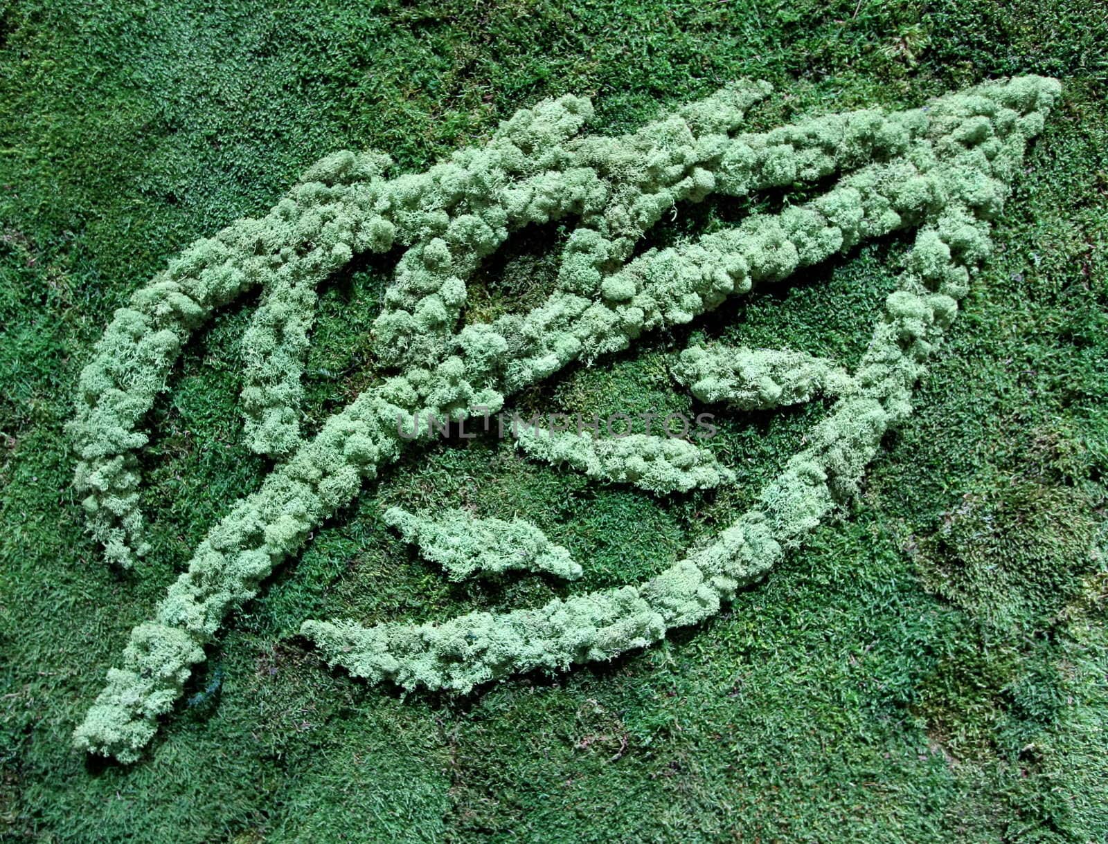 GENEVA - MARCH 8 : green biogas leaf symbol at the 83st International Motor Show Palexpo - Geneva on March 8, 2013 in Geneva, Switzerland.