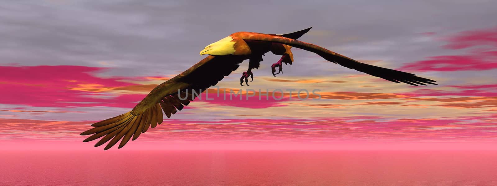 Eagle by sunset - 3D render by Elenaphotos21