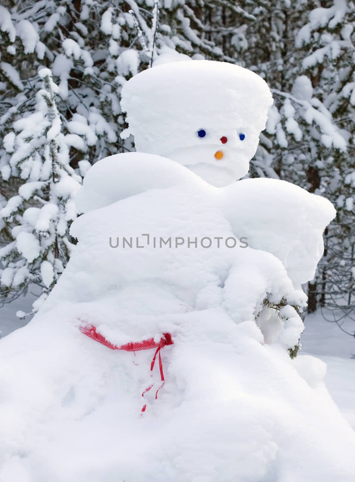 Snowman made by nature and resourceful man. winter