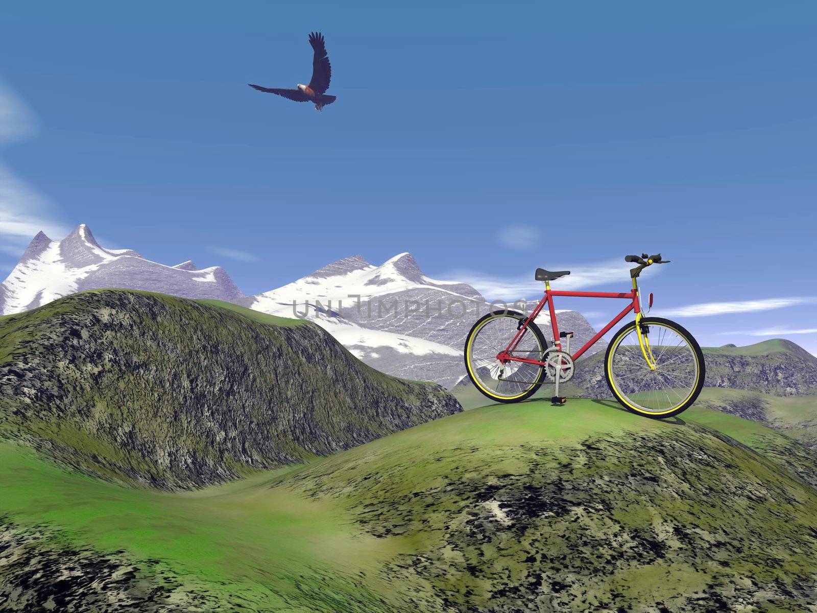 Red mountain bike at the mountain by summer day with eagle flying in the blue sky