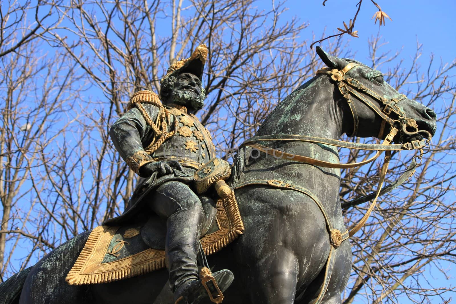 Statue of Charles d�Este-Guelph duke of Brunswick, Geneva, Switz by Elenaphotos21