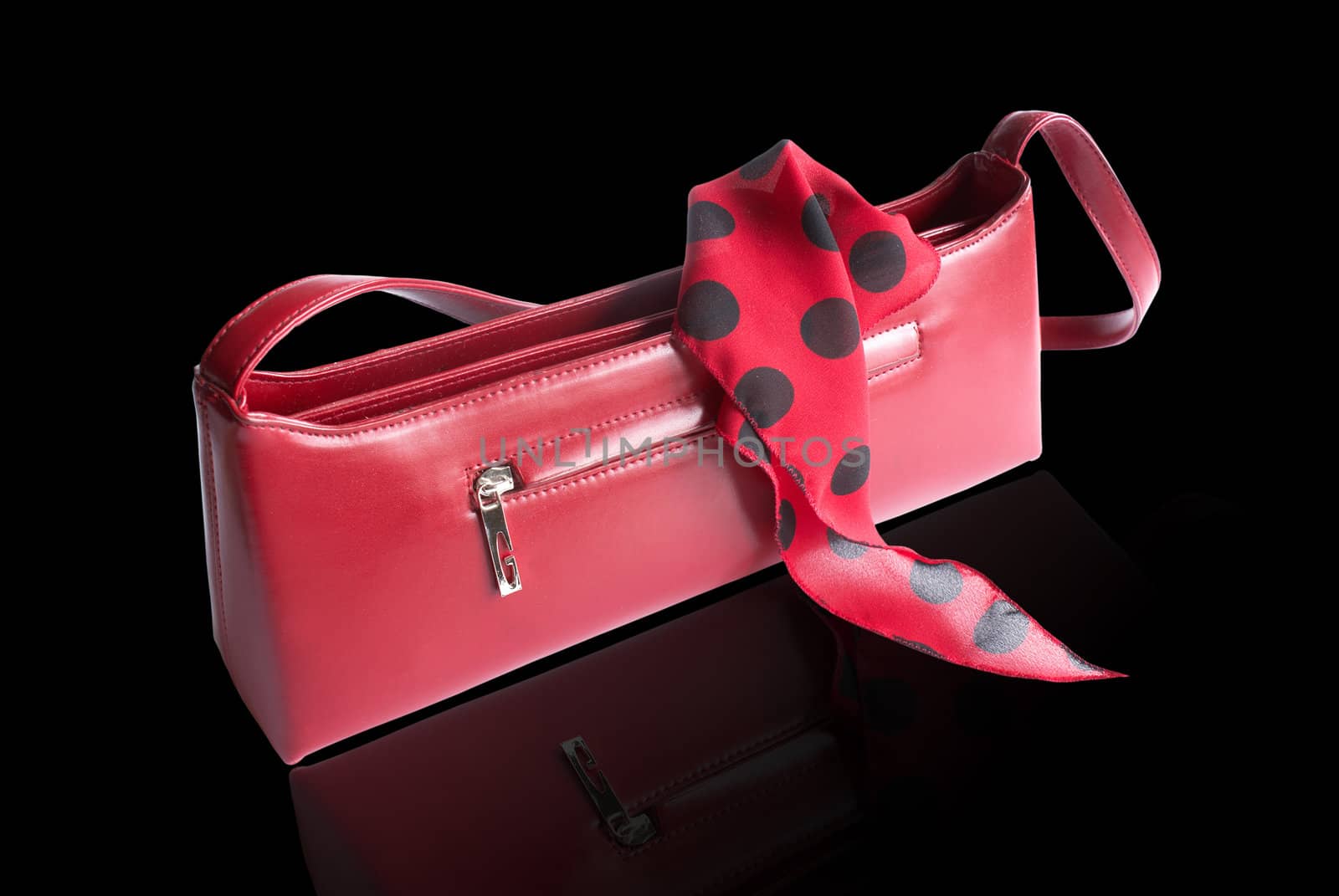 Ladies' handbag by sergey150770SV