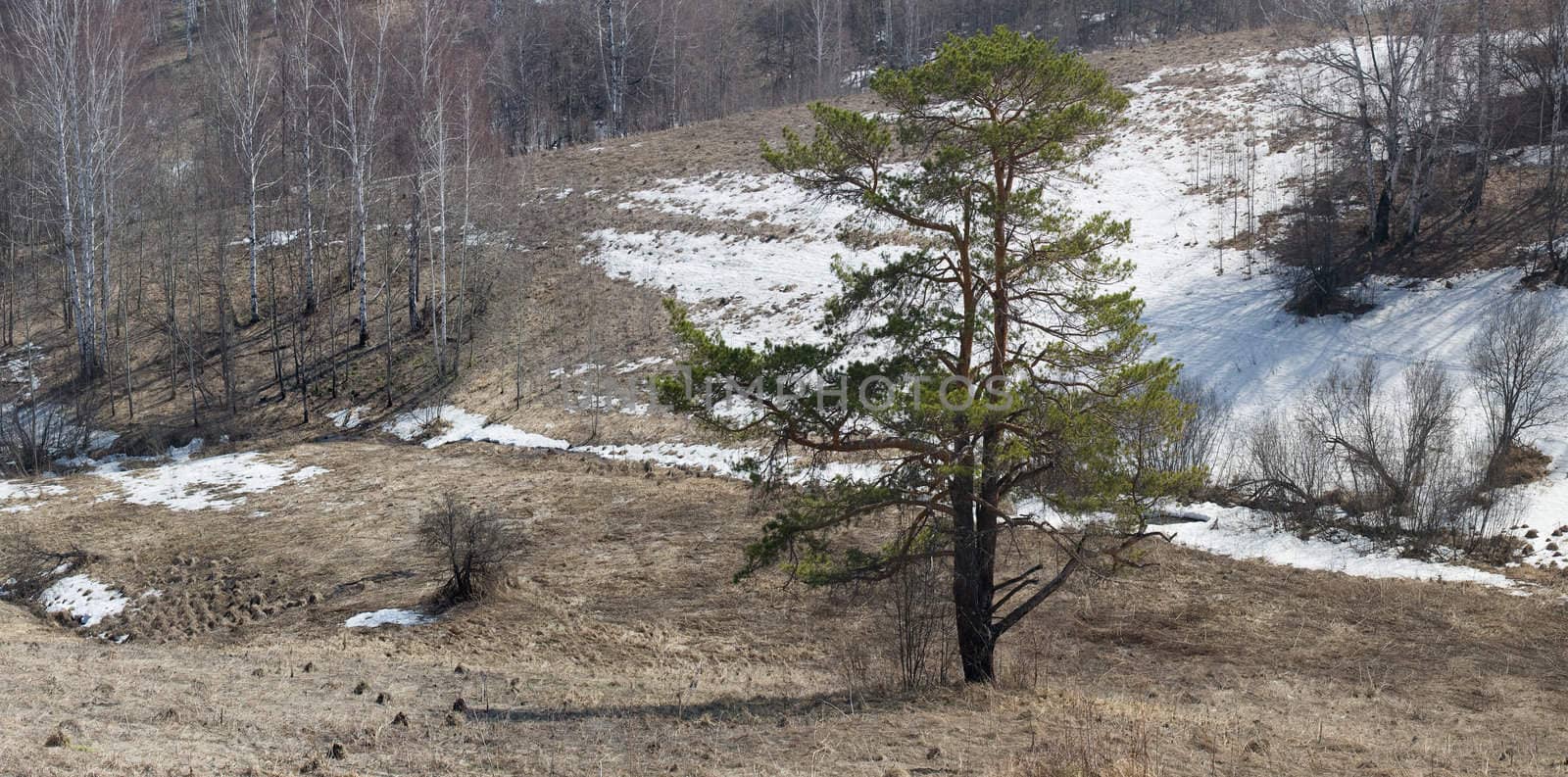 Early spring in Russia, Siberia, Kuzbass