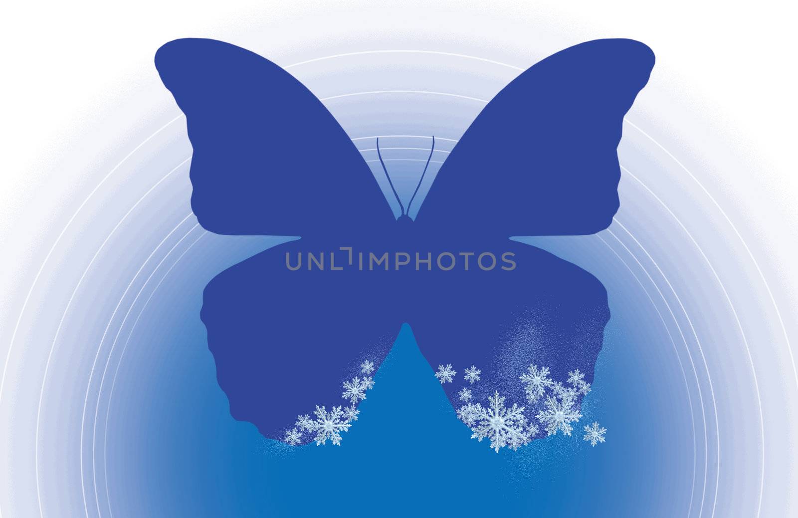butterfliy with snowflakes by ssuaphoto