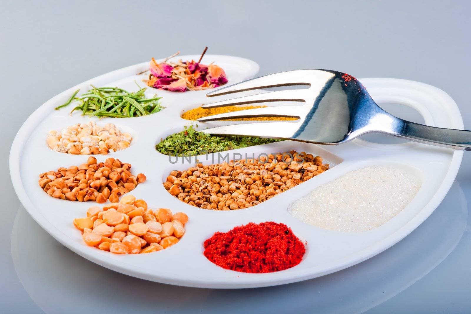 The palette of spices and groceries with a fork