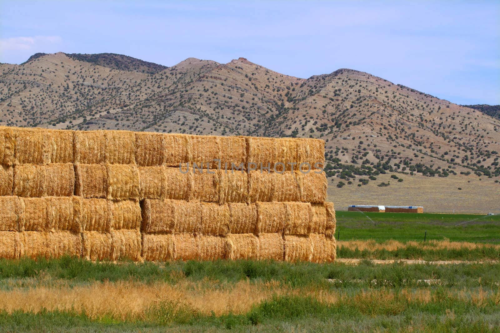 Large hay bales in rural Idaho on a sunny summer day.