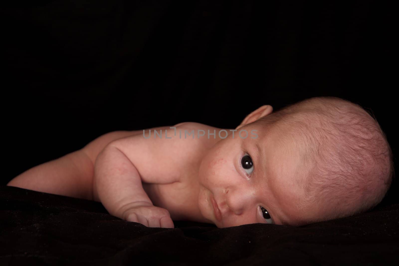 Newborn 1 month on a black background by erllre