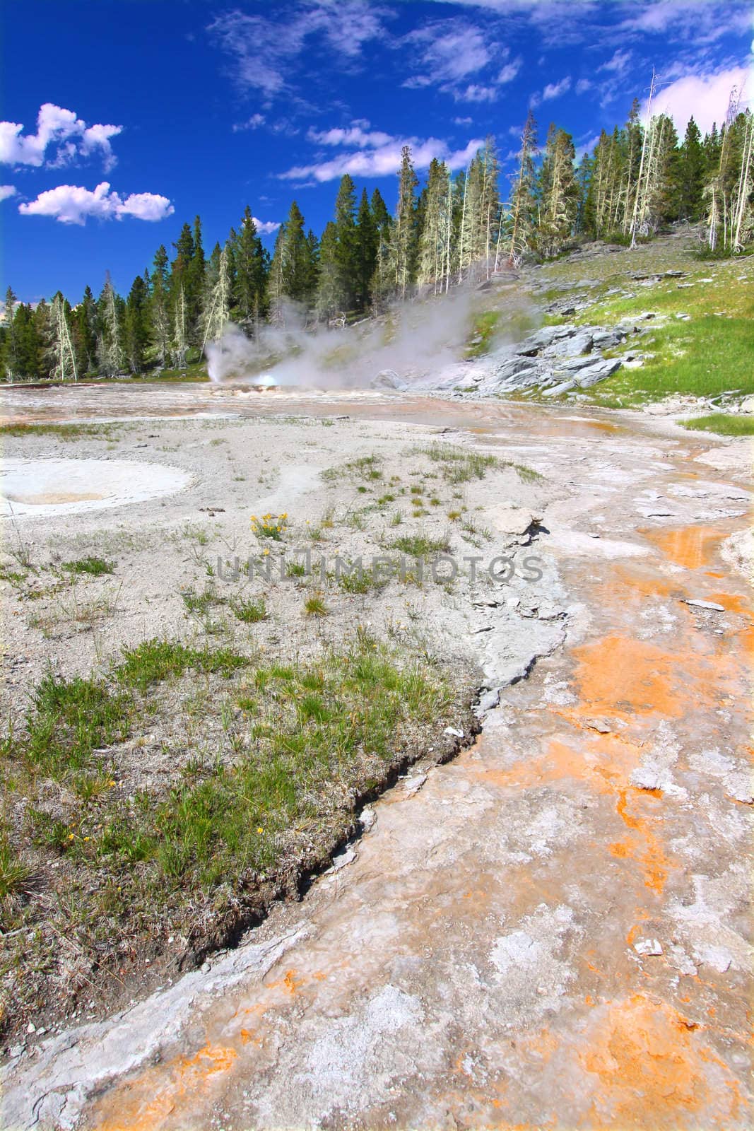 View of the thermal features near Grand Geyser of Yellowstone National Park.