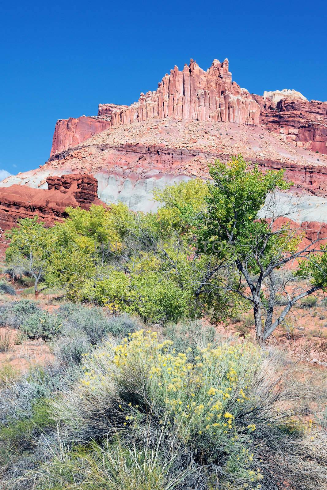 vertical view of the Castle in Capitol Reef National Park, Utah, USA