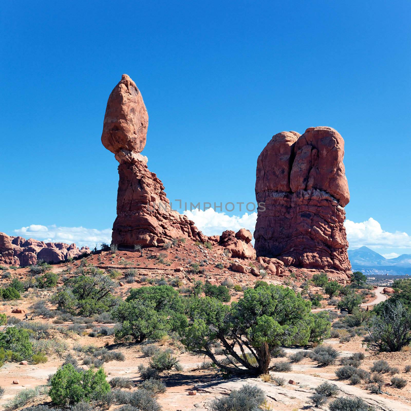 famous Red rocks in Arches National park, Utah, USA 