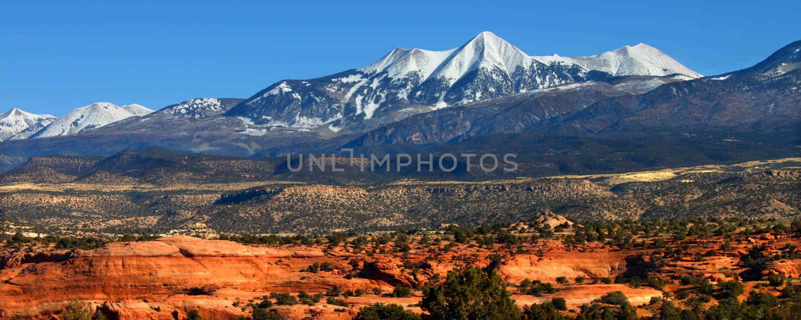 Monti-La Sal National Forest of Utah by Wirepec