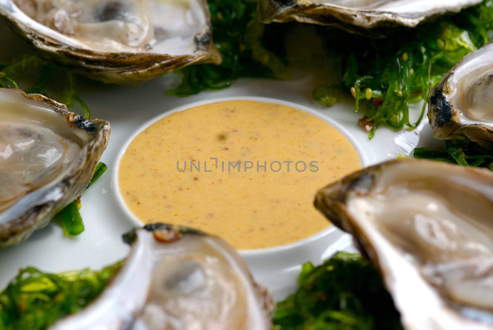 Image of oysters on garnish with sauce