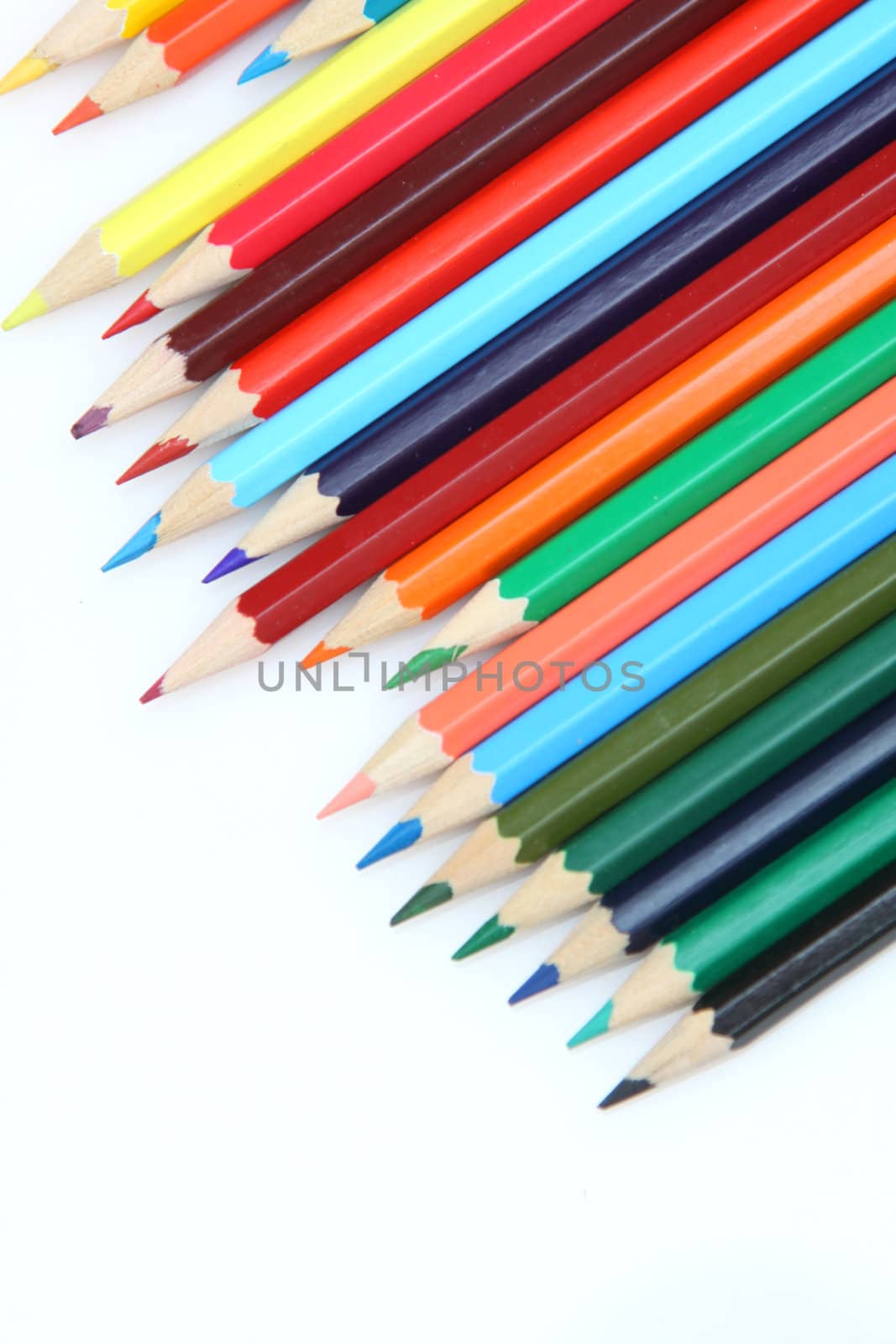 Color pencils arrange on white background