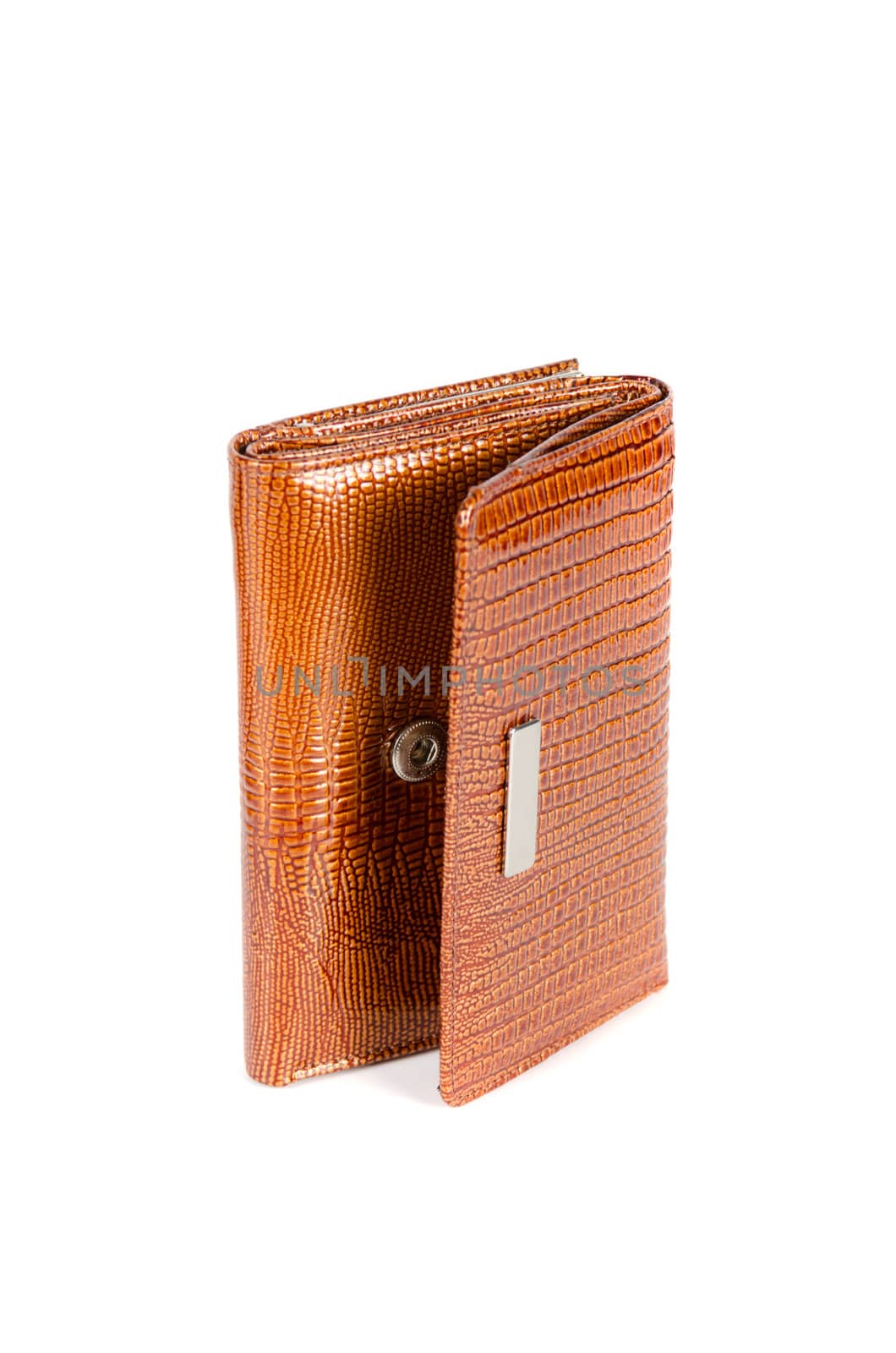 Modern brown female wallet isolated on white background