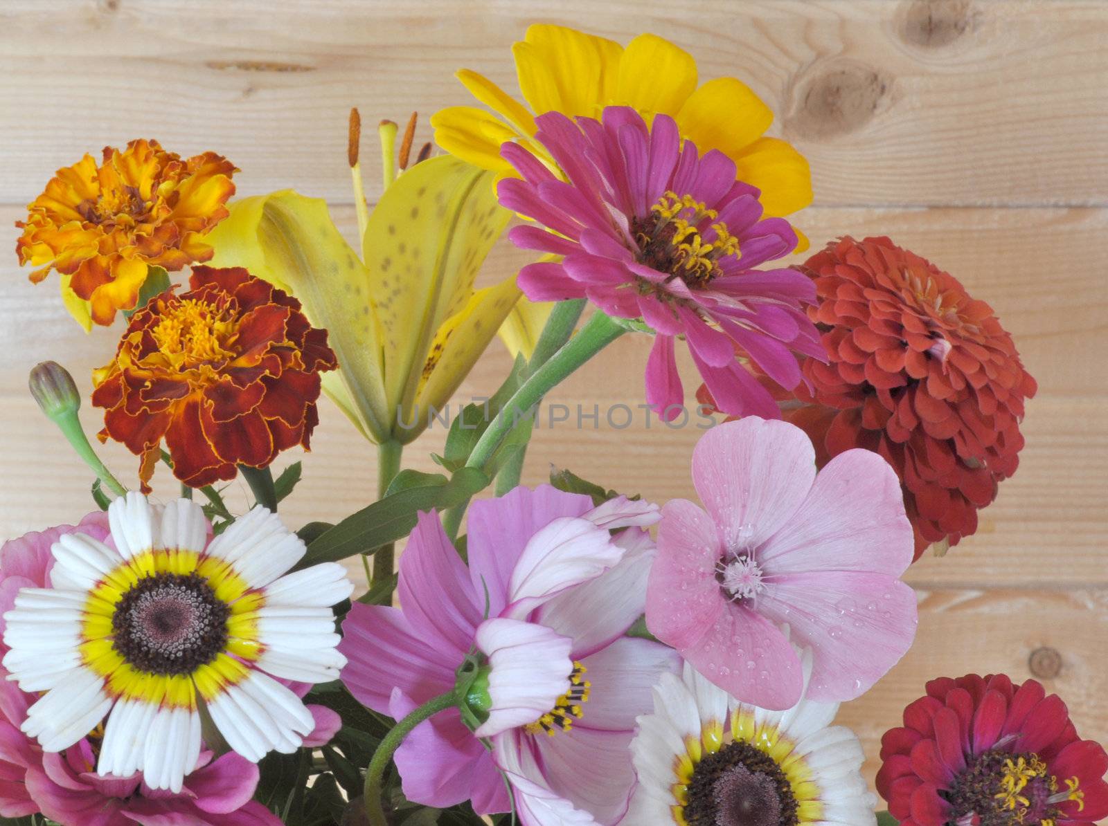Bouquet of garden flowers against a wooden wall. August, the Central Russia