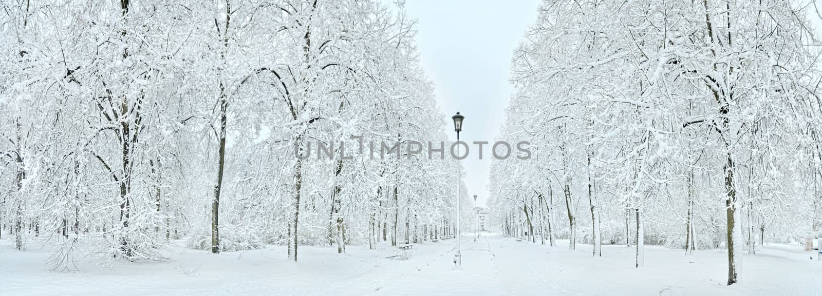 Main entrance to park in Warsaw. Very wide winter panoramic view.