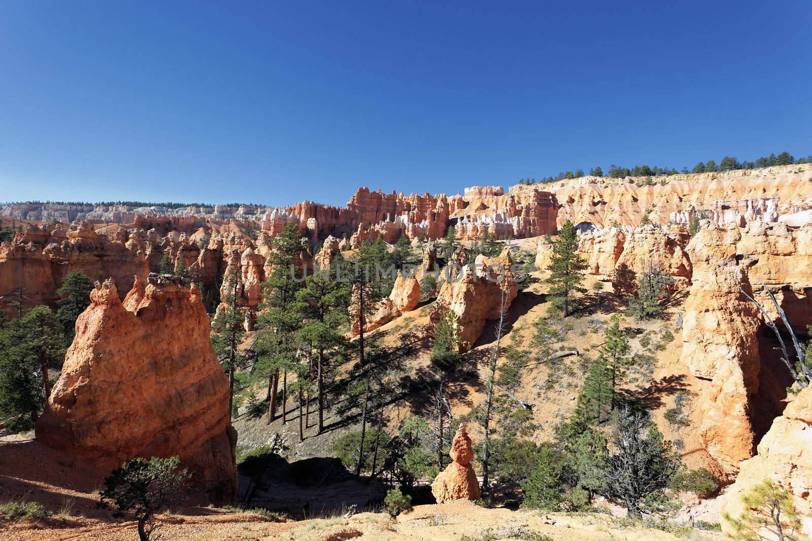 view of famous Bryce Canyon, Utah, USA