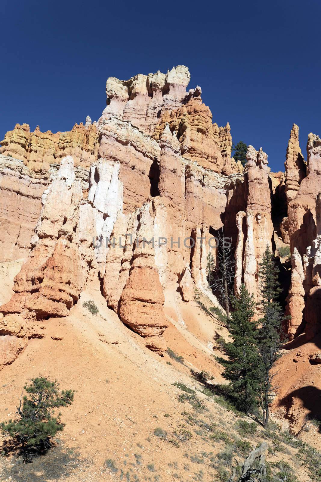 famous view of Navajo Trail in Bryce Canyon, Utah 