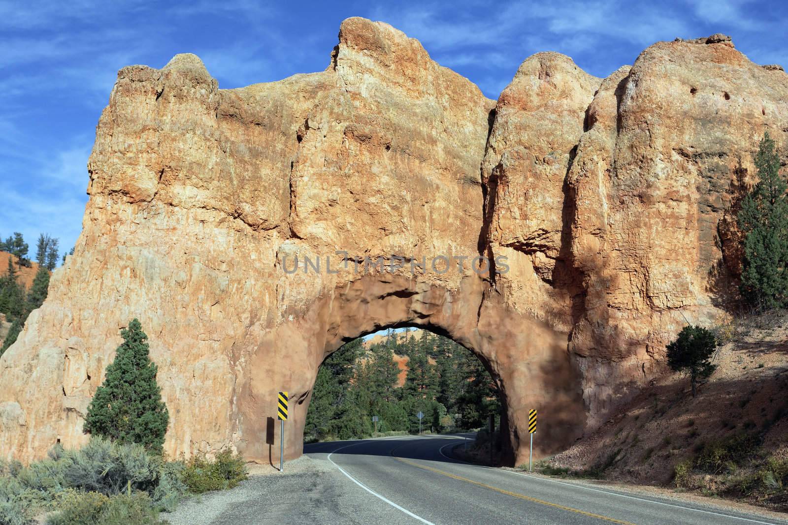 Road to Bryce Canyon National Park through tunnel in the rock, USA