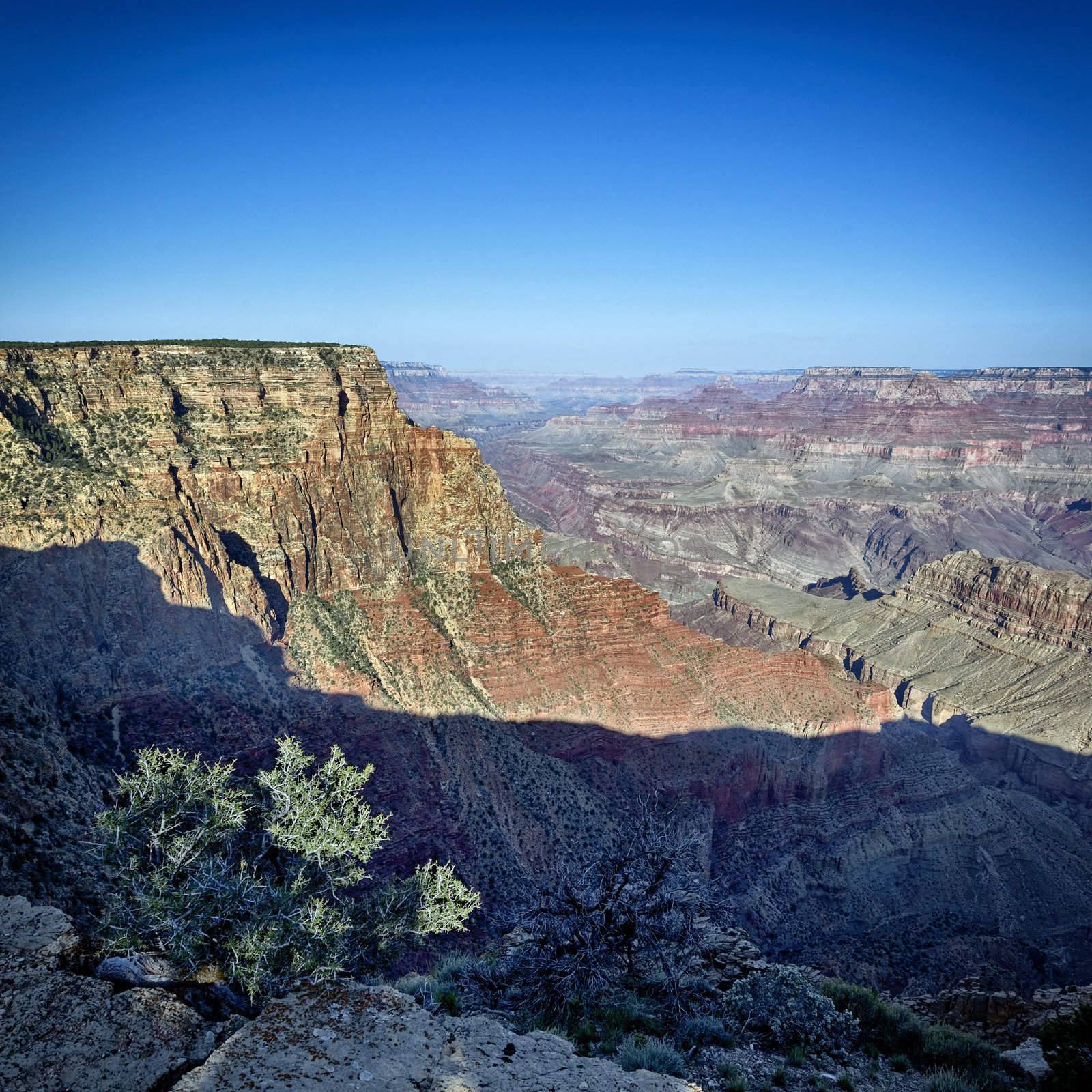 view of famous Grand Canyon, Arizona, USA