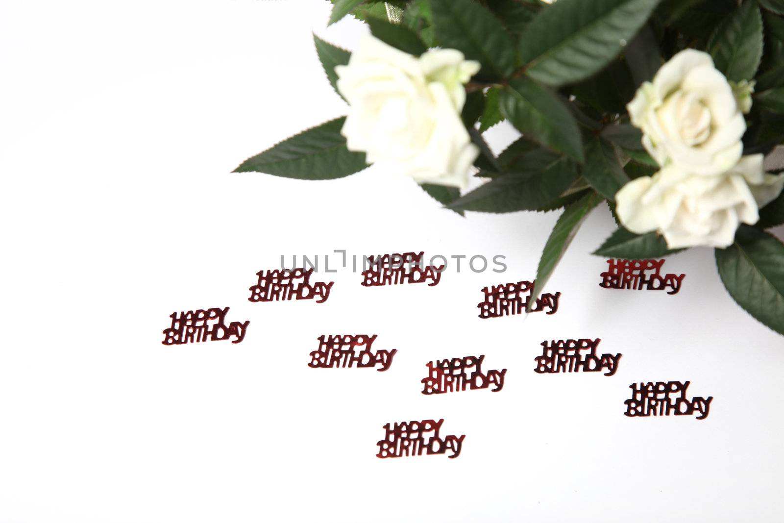 Lettering with "happy birthday" and white roses in the background space for text
