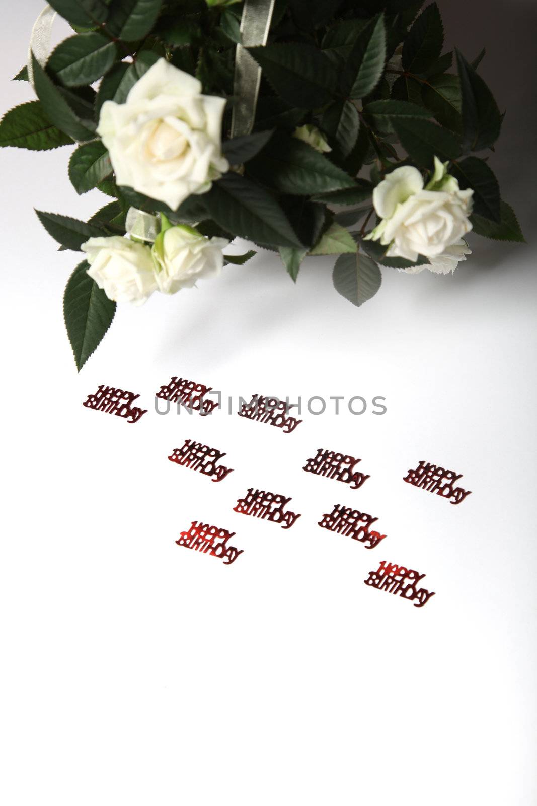 Lettering with happy birthday and white roses in the background, text space, vertical format