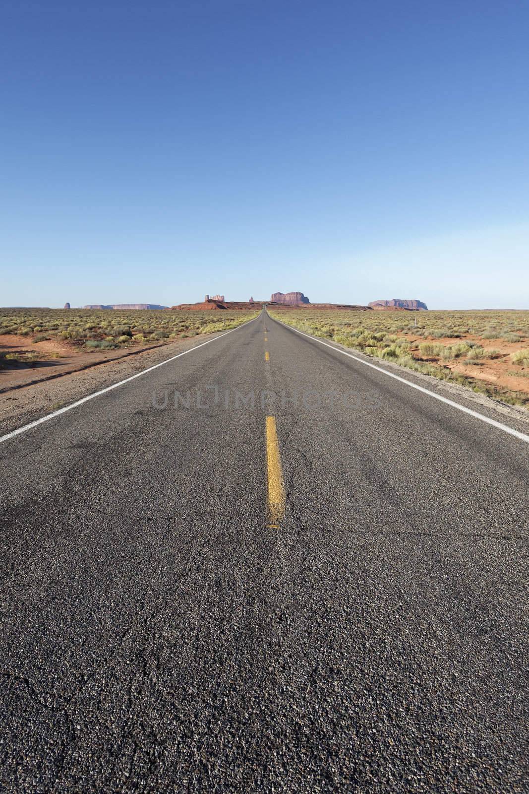 vertical view of long american road, USA