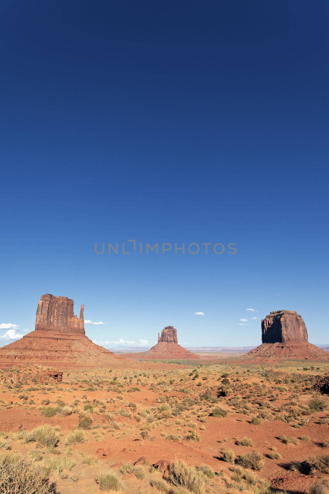 vertical view of famous landscape of Monument Valley, USA