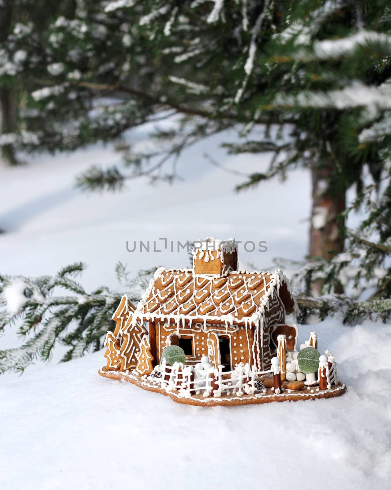 Gingerbread house in real snowy forest by anterovium