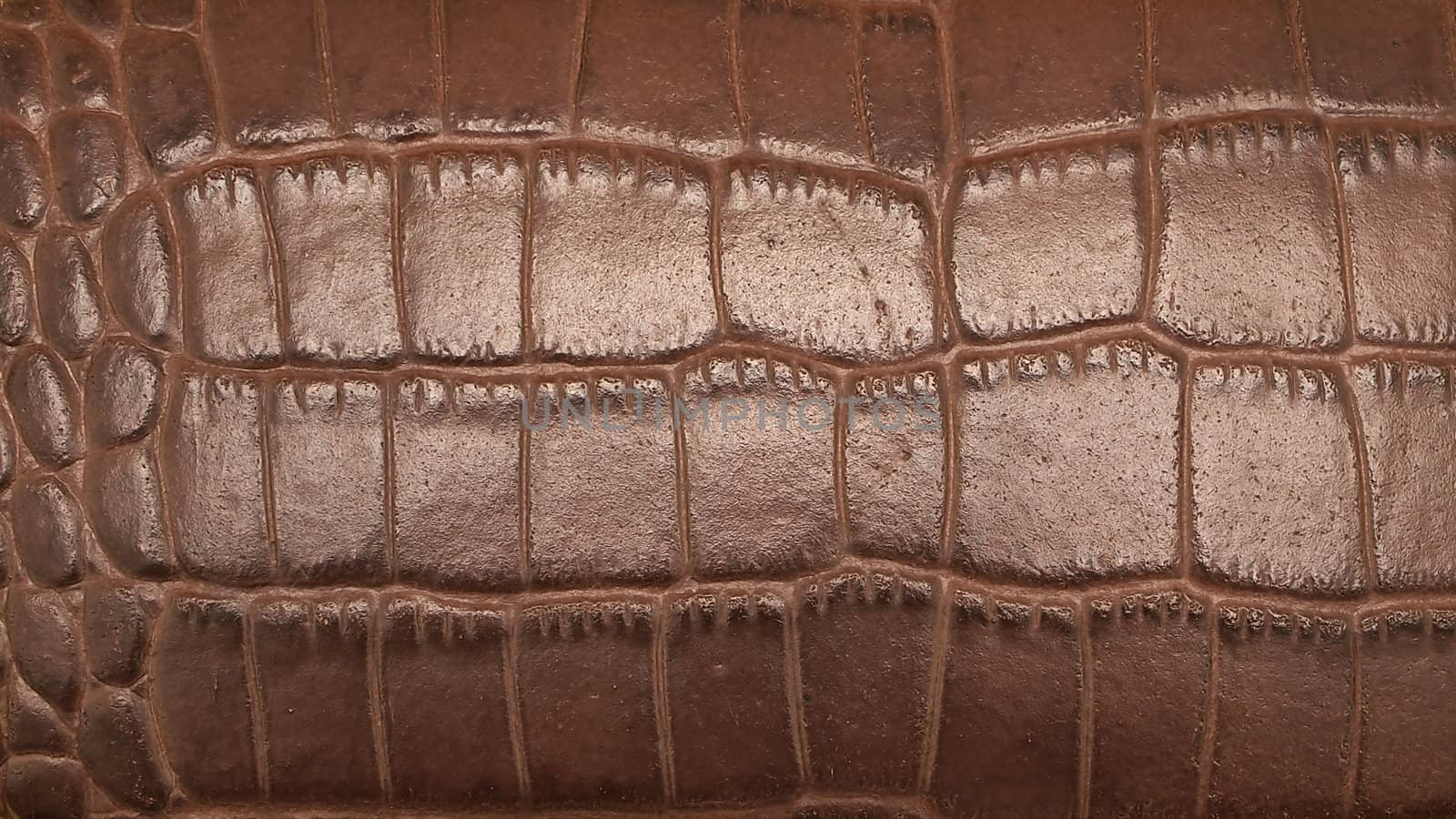 brown skin, the texture
