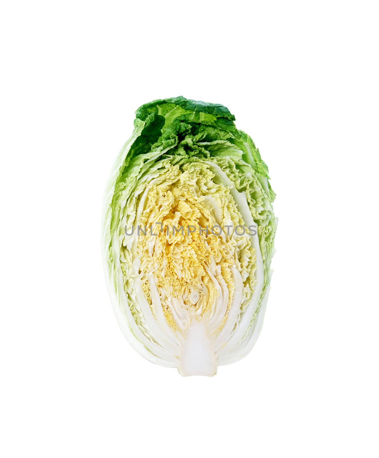 Halved chinese cabbage, clean crossection isolated