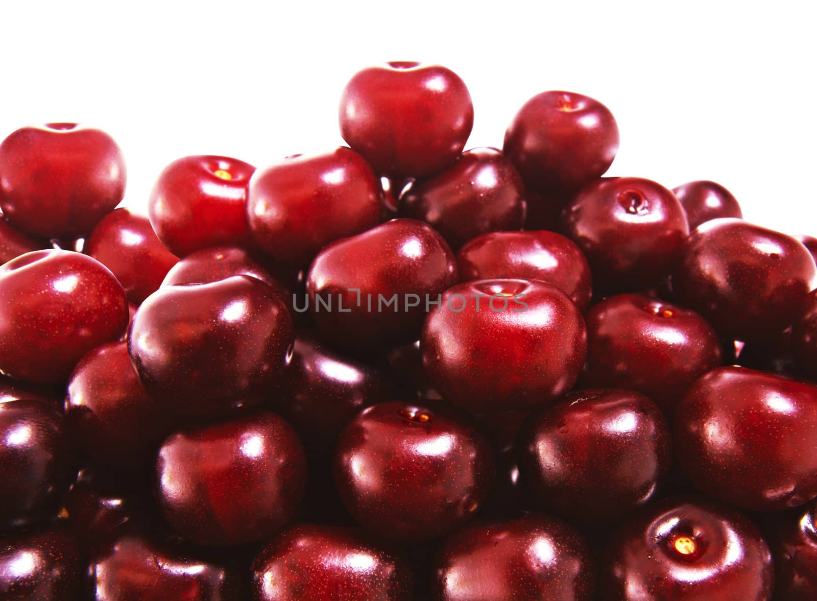 cherry, on a white background