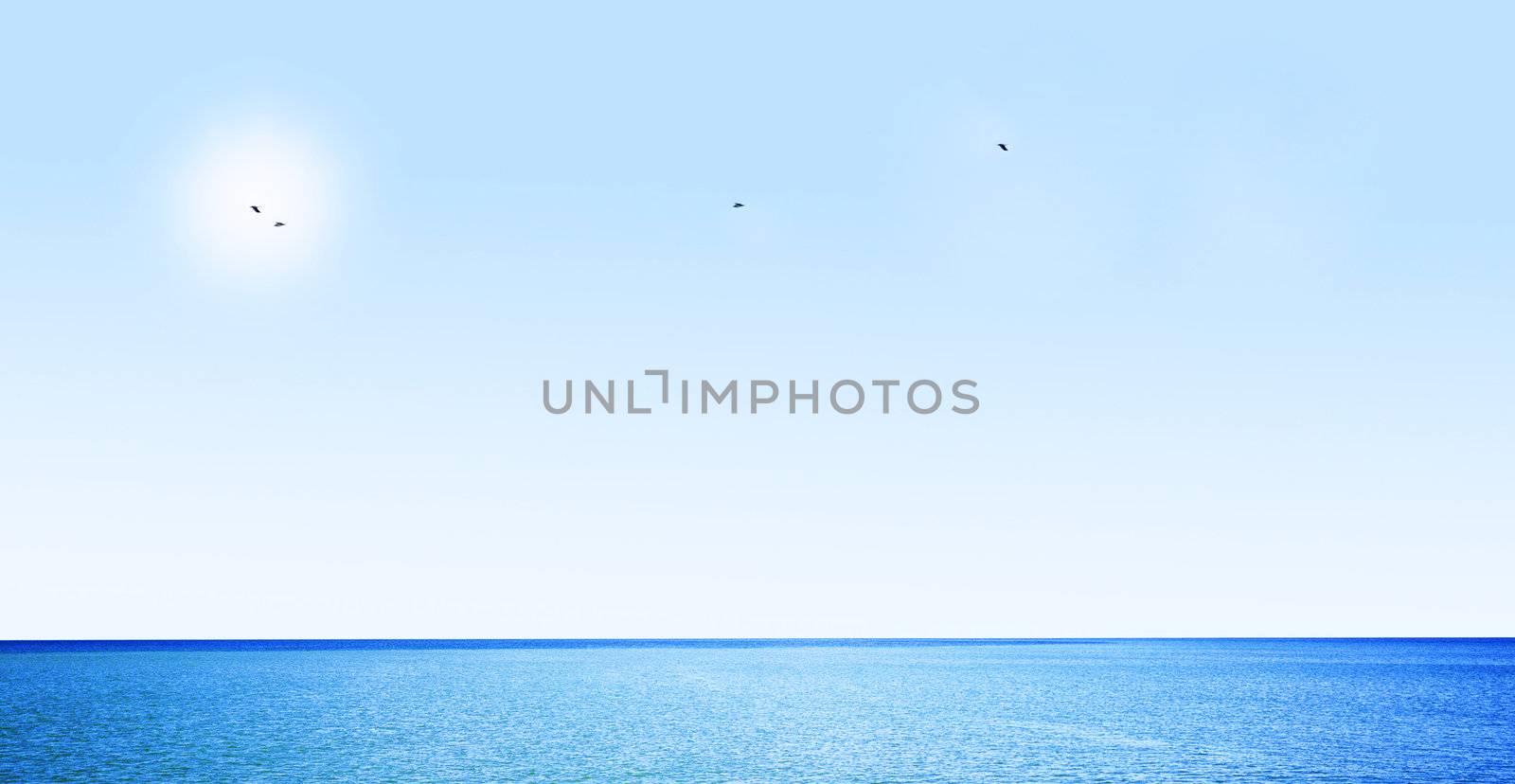 Blue sky, ocean and flaying birds