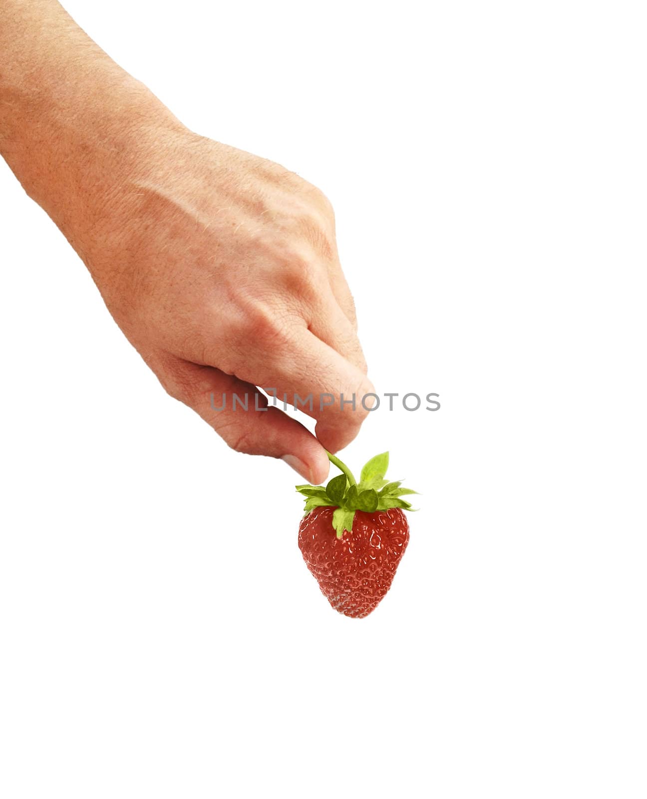 fresh strawberry in hand