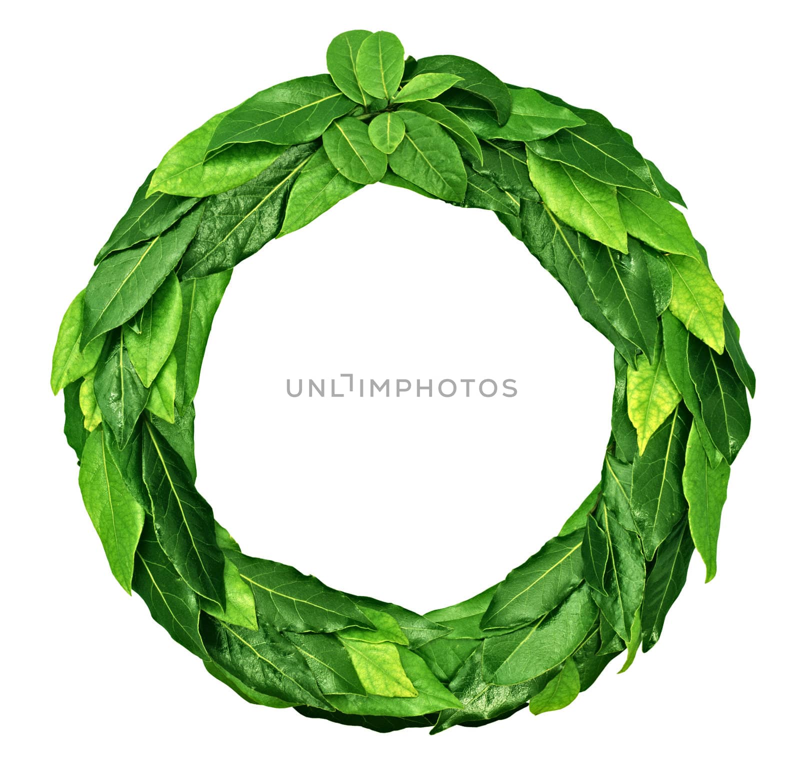 Green small leaves